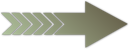 Seta